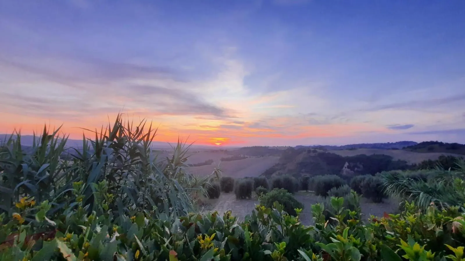 Villa Lovely 6 Bed Tuscan Farmhouse Villamagna  Italy